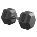 ROALW 95 lb Hex Dumbbell Single, Rubber Encased Home Gym Weight