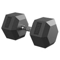 ROALW 100 lb Hex Dumbbell Single, Rubber Encased Home Gym Weight